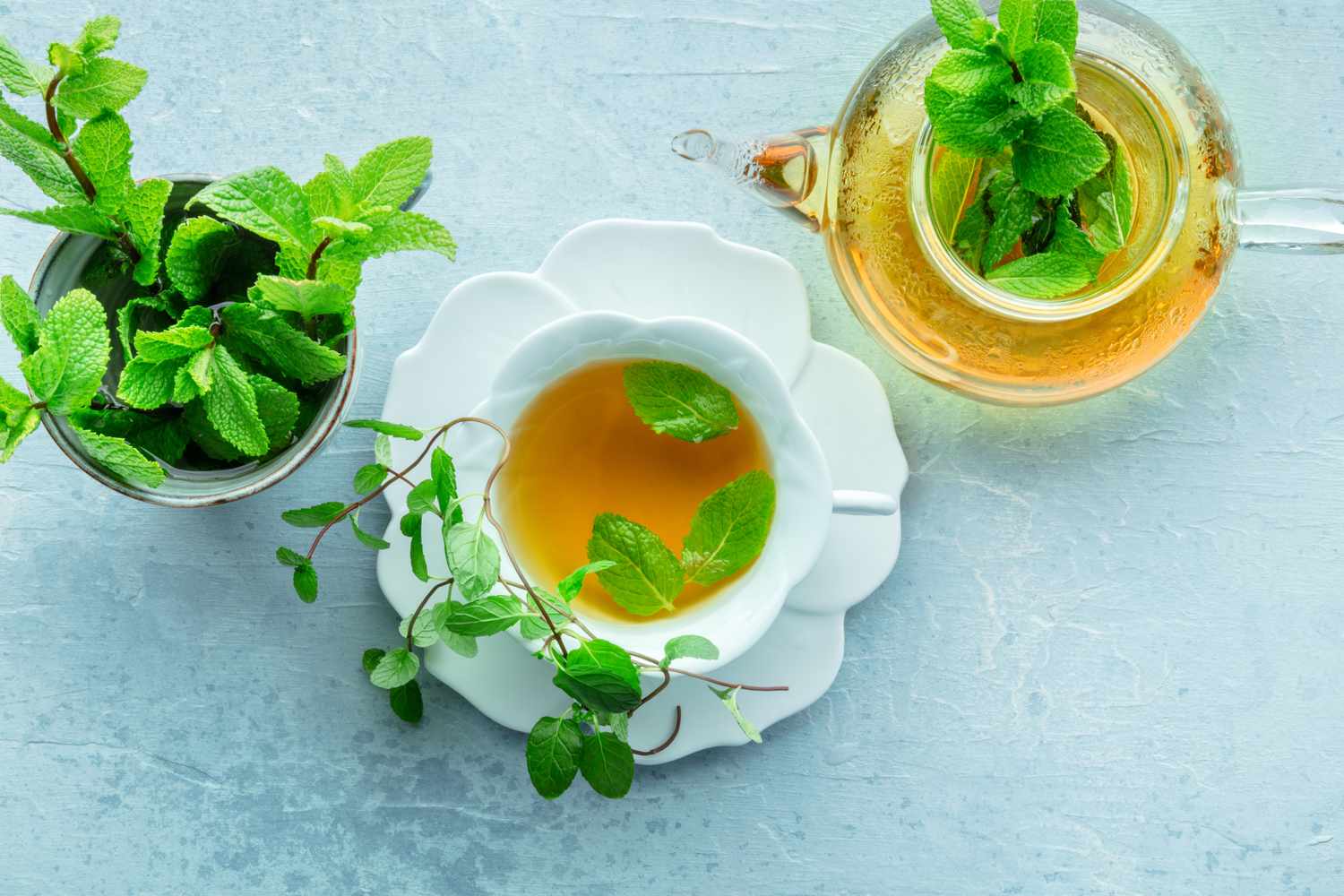 From Garden to Cup: Crafting the Perfect Fresh Mint Tea Experience